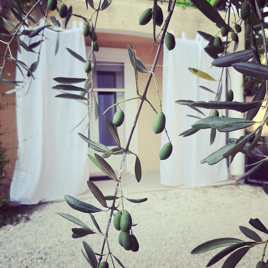 La Villa Jasmin Montauroux Bagian luar foto