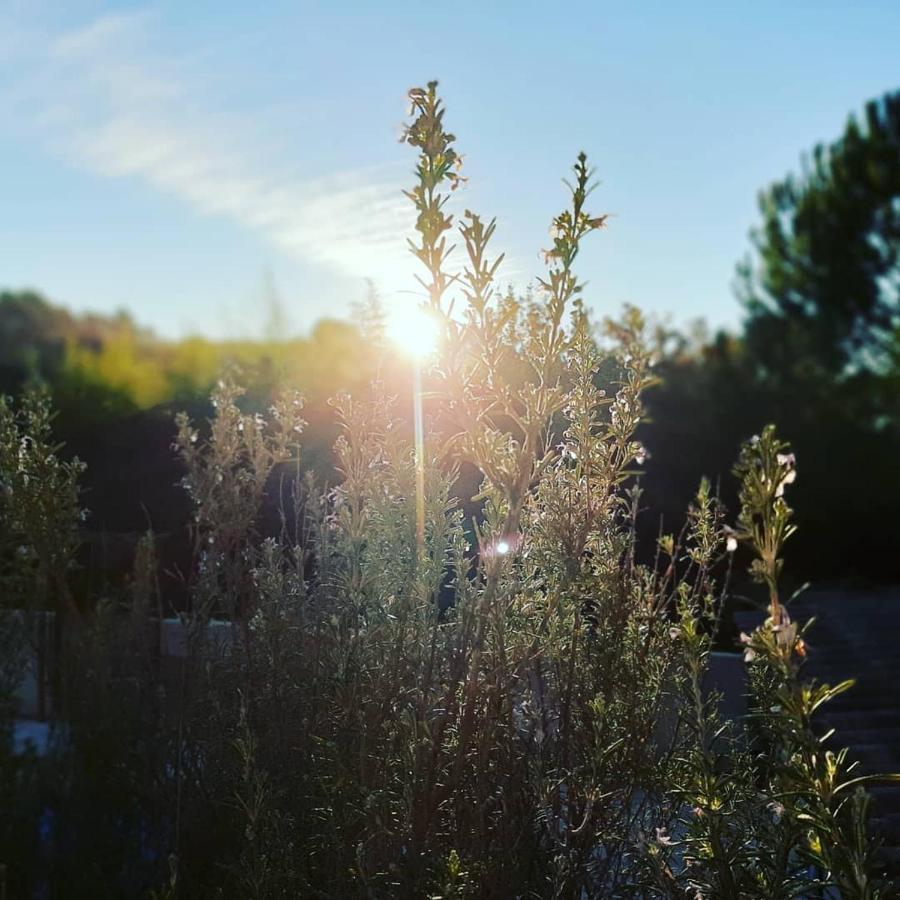 La Villa Jasmin Montauroux Bagian luar foto