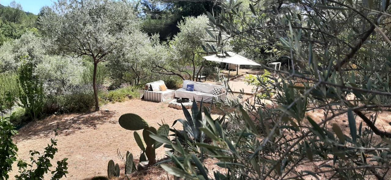 La Villa Jasmin Montauroux Bagian luar foto
