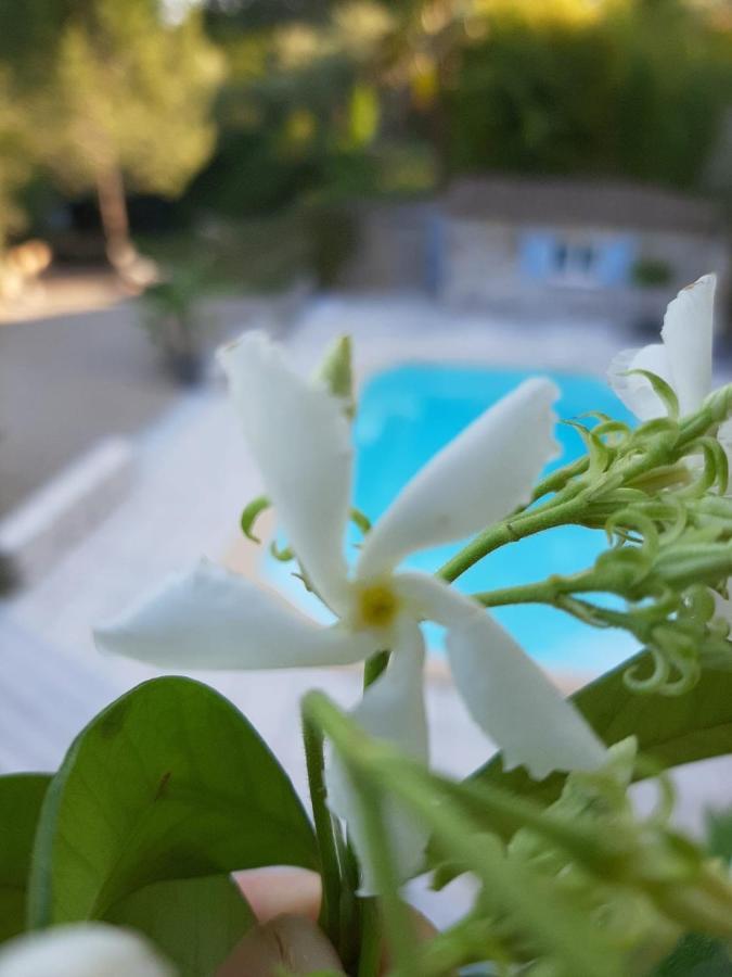 La Villa Jasmin Montauroux Bagian luar foto